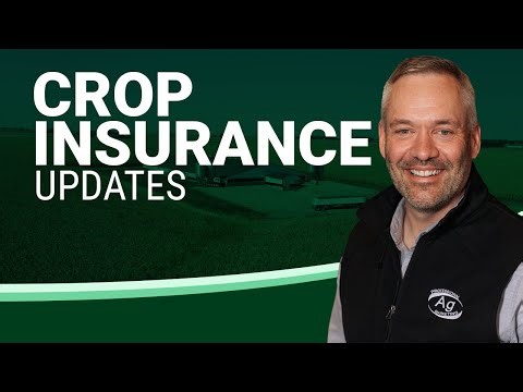 Grain Market Talk | 1/23/2026