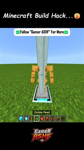 Minecraft Armor Stand Hack 😮 #minecraft #shorts