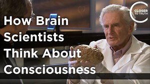 How Brain Scientists Think About Consciousness – Lifeboat News: The Blog