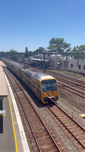 T-set #train#trainspotting#railway#railfan#nswtrains#nswtransport#nswtrainlink#travel#youtubeshorts