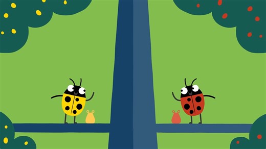 Animanimals Ladybird