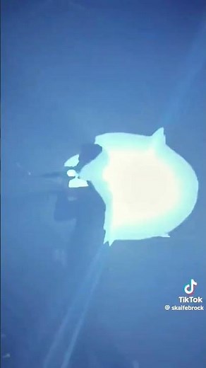 Lithe Live Performance 🥵 In Fall Back #fallback #lithetypebeat #liveperformance