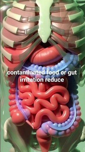 Diarrhea Explained in 30 Seconds | Medical Study