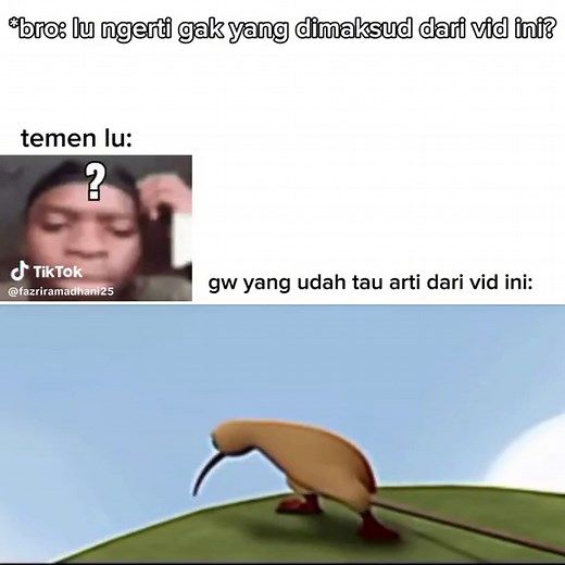 Sad Kiwi Bird Animation Cartoon Compilation