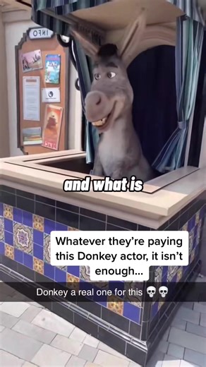 Explore Universal Studios Fun Interactive Experiences