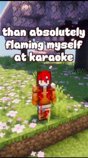 Flaming Myself at Karaoke #minecraft #meme #comment #java