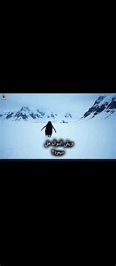 ‏#البطريق #اكسبلور