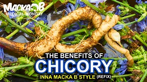 4.6K views · 122 reactions | Macka B's Medical Monday 'Chicory'...