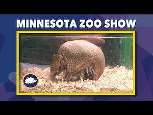MN Zoo Show — 11-20-25