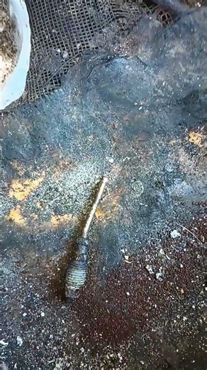 brake bleeder removal using a nail and vice grips