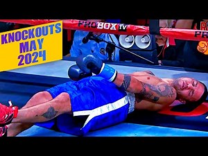 Boxing Knockouts | May 2024 #knockoutzone