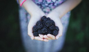 The Bible Is The Story Of God’s Generosity