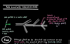 Graph Theory Blink 6.3 (Path transitivity of random walker on graphs)