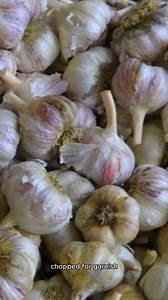 zucchini and squash recipe