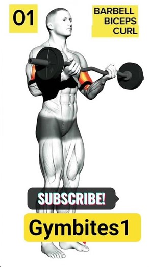 Top Barbell weight workout 💪 #gymbites1 #shorts #gymworkout #usashorts