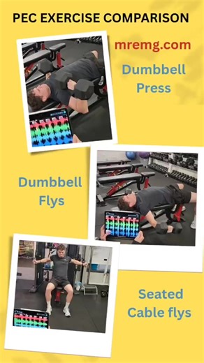 Pec exercise comparison. Let's investigate 🔎