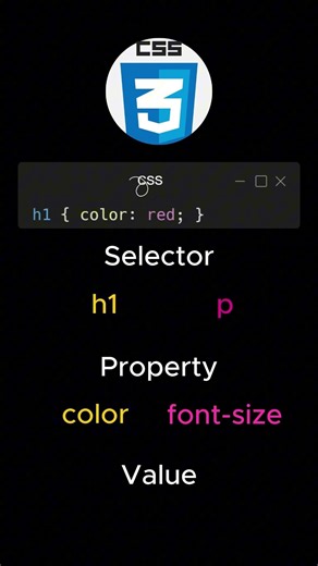 02 Explanation of CSS basics #frontend