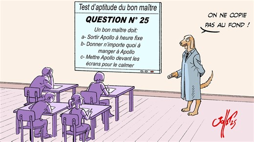 L’adoption et l’abandon d’animaux de compagnie : des chiffres qui en disent long