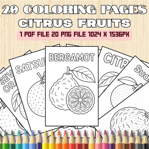 20 Citrus Fruits Coloring Pages – Fruit Line Art for Kids & Adults – Printable Coloring Sheets PDF   PNG – Instant Digital Download - Etsy