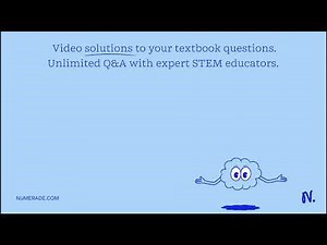 What is the free rider problem?