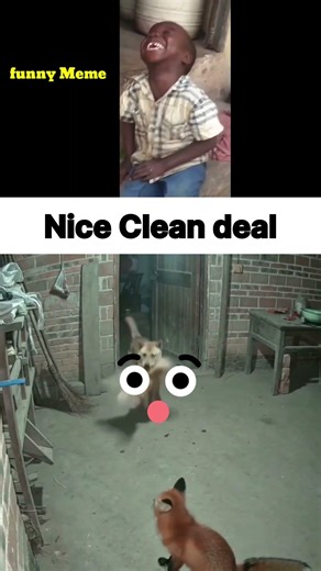 best deal #funny #funnyvideo #funnyshorts