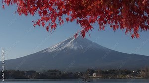 Red Maple Tree Mount Fuji during Autumn in Japan Fall Season overlooking the Lake Kawaguchiko Fuji Japan