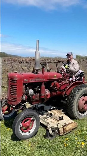 Woods L306 Belly Mower Attached to the 100 Farmall #lawncare #tractor #farming #tractorattachments
