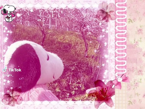 Snoopy!! #snoopy #aesthetic #snoopylover #cute #fyp | snoopy