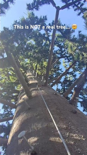 Climbing a 400ft FAKE tree cell tower! #treeclimbing #celltower #towerclimb #bluecollarlife #nature