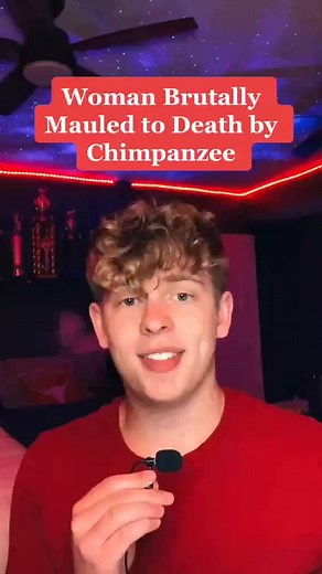 Part 1: Travis the Chimp #truecrime #chimpanzee #scary #horror #jackneel #travischimpanzee | Jack Neel