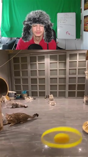 Hilarious German Memes Compilation Stream Clips