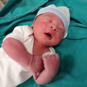 404K views · 84K reactions | So precious, it'll make my life much more worth living for ❤️ #Newborn #Baby Please join my group :  We Love Babies  . Thank you so much ❤ | Dogs World | Facebook