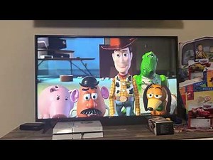 Who’s the real buzz