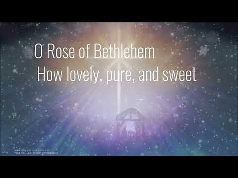 There's a Rose in Bethlehem