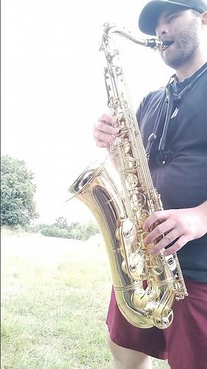 Day 9 learning Tenor Sax #tenorsaxophone #beginner #airsupport