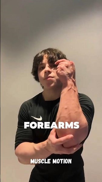 Forearms workout at home | Forearm exercises no equipment | Forearms workout