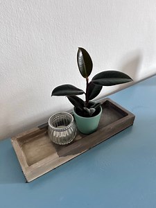 Tray, Rectangular - Etsy