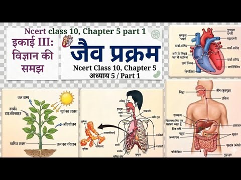 जैव प्रक्रम | class 10 science chapter 5 new ncert book se full chapter/ part 1