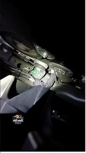 Oh Rats! #rodent #pestcontrol #rat #automobile #mechanic