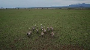 Into the Wild: Drone Views Of Africa’s Stunning Landscapes and Wildlife...