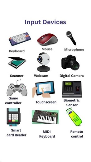 Computer Input Devices