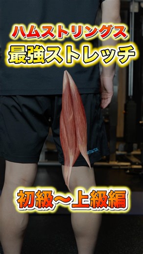 [Beginner to Advanced] Stretch the back of your thighs with just the right tips! #Stretching #Hea...