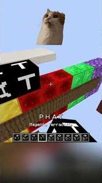 PaTater vs netherite