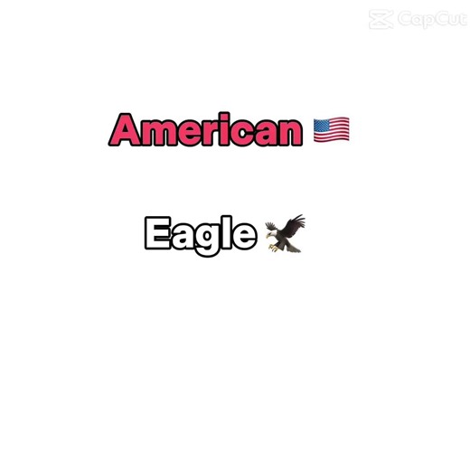 the Puggle screech #mypug #speakpug #funny #cutedog