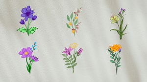 Flower Animation Elements