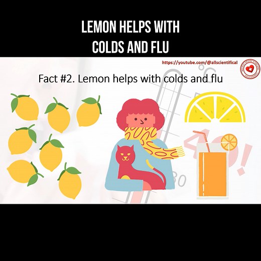 Lemon helps with colds and flu #lemon #cold #flu #lemonbenefits | About health and science in simple words