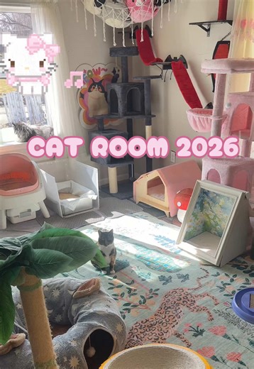 Charming Cat Room Tour: Decor and Setup Ideas