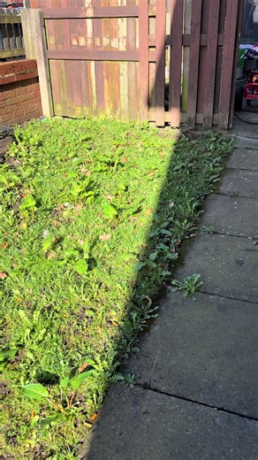 Transform Your Outdoor Space with Professional Pressure Washing