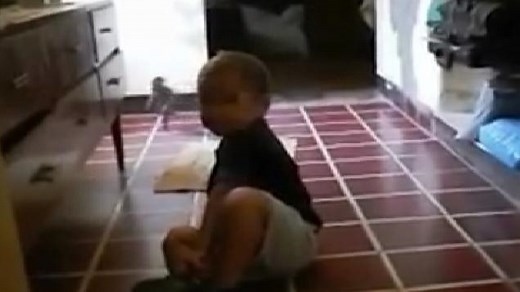 Goblin-like creature 'caught on film'