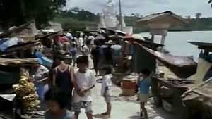 Подборки видео для вас — поиск Яндекса по видео